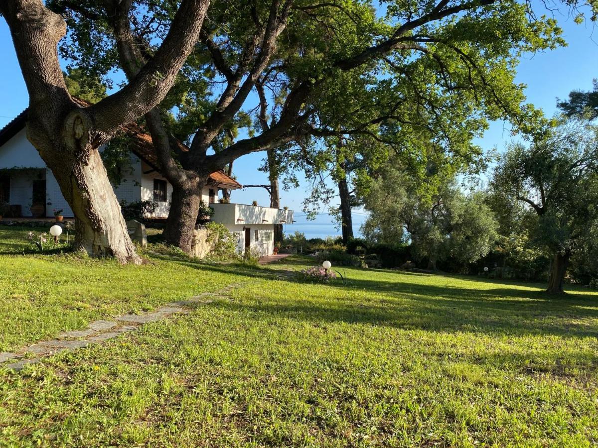 Wild Oaks Cottage Kriopigi Ngoại thất bức ảnh