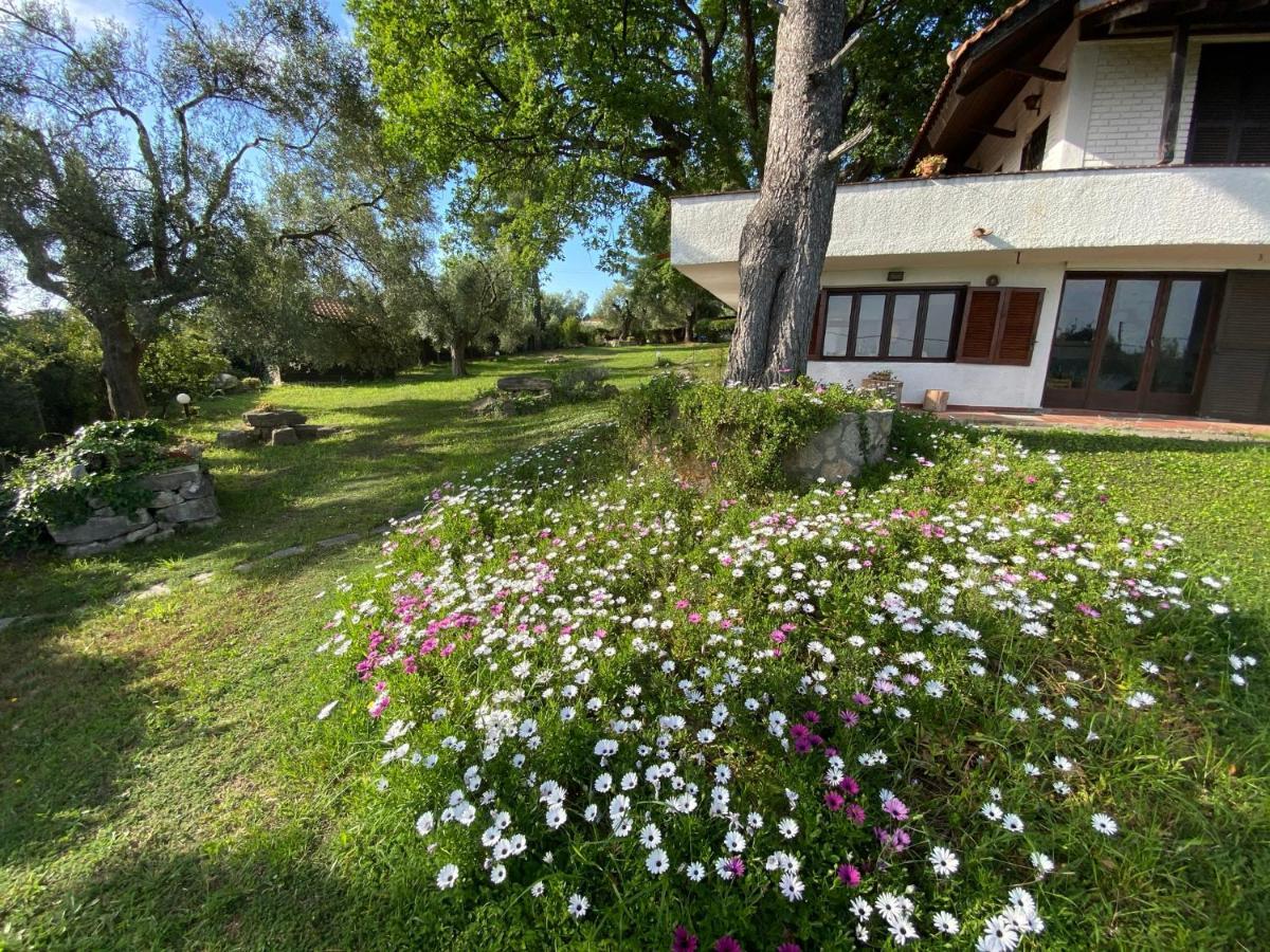 Wild Oaks Cottage Kriopigi Ngoại thất bức ảnh