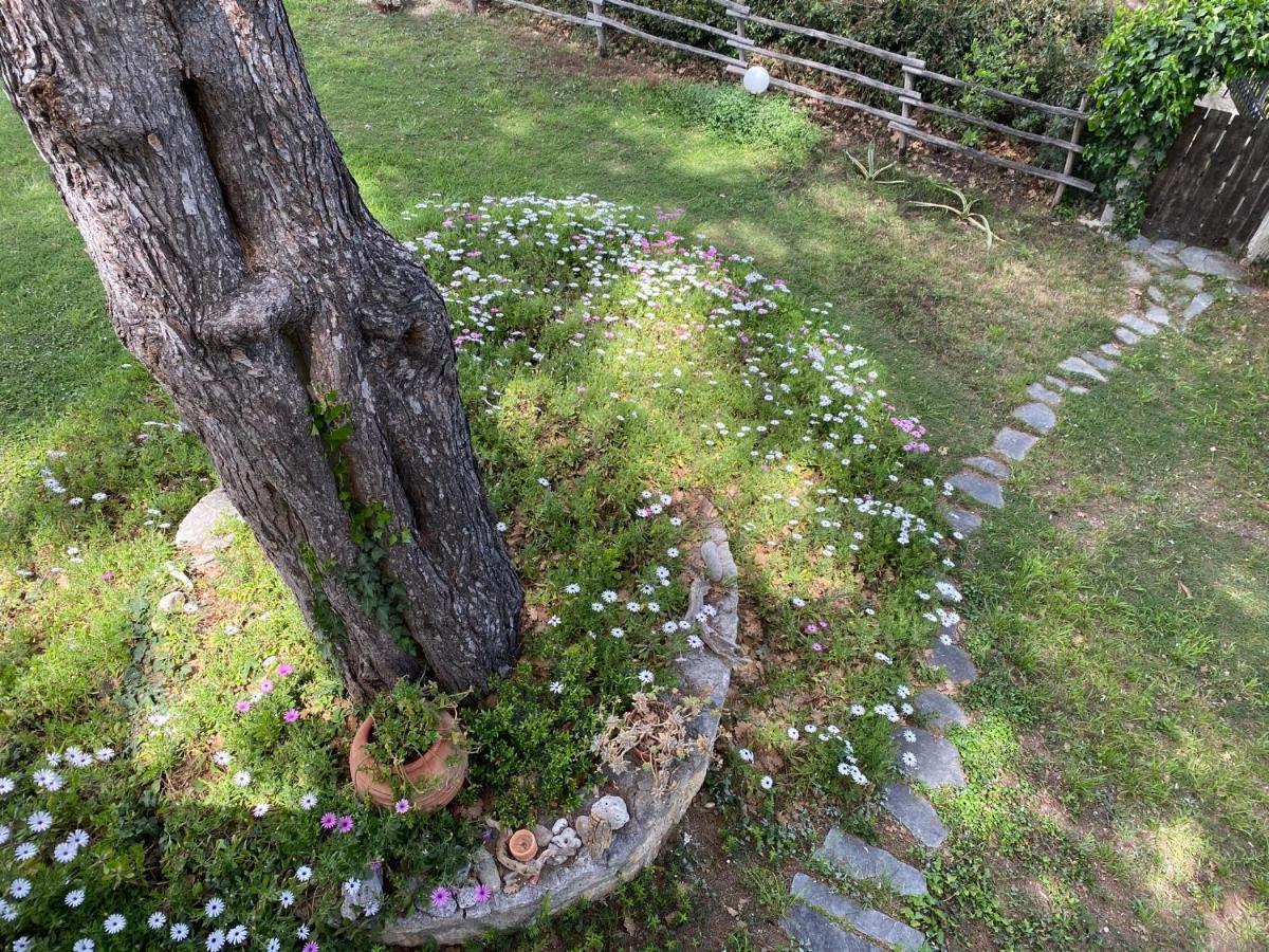 Wild Oaks Cottage Kriopigi Ngoại thất bức ảnh