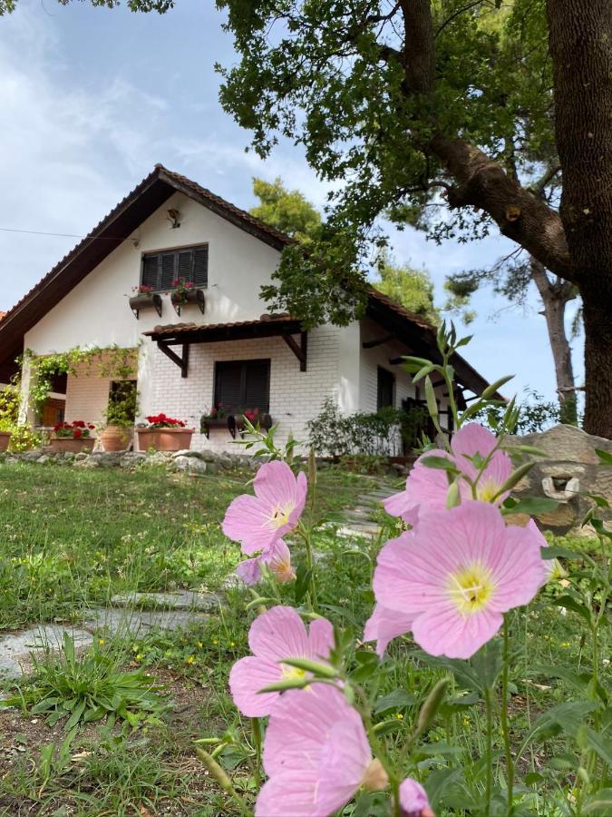 Wild Oaks Cottage Kriopigi Ngoại thất bức ảnh