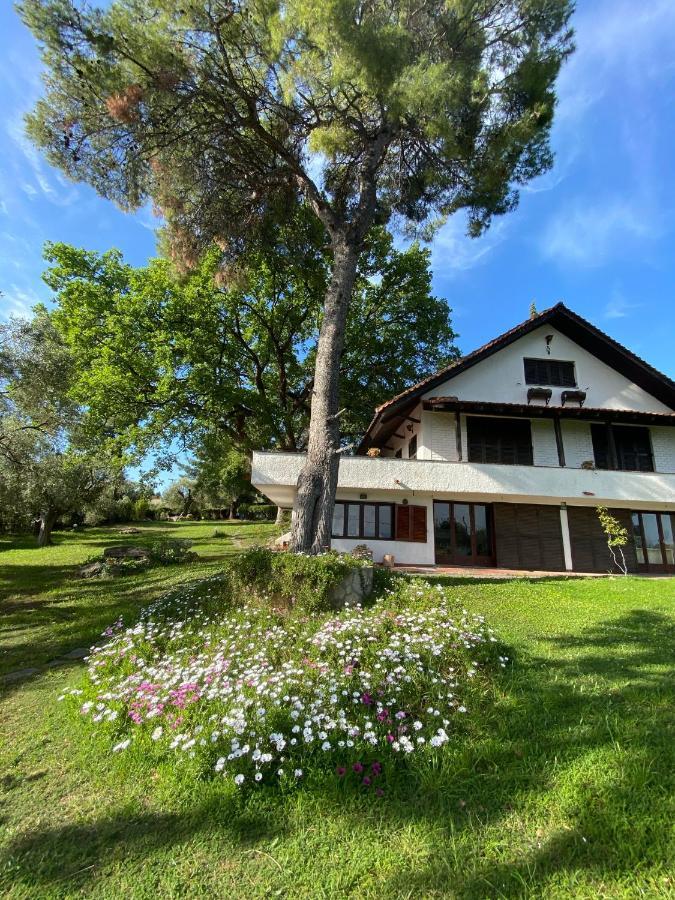 Wild Oaks Cottage Kriopigi Ngoại thất bức ảnh