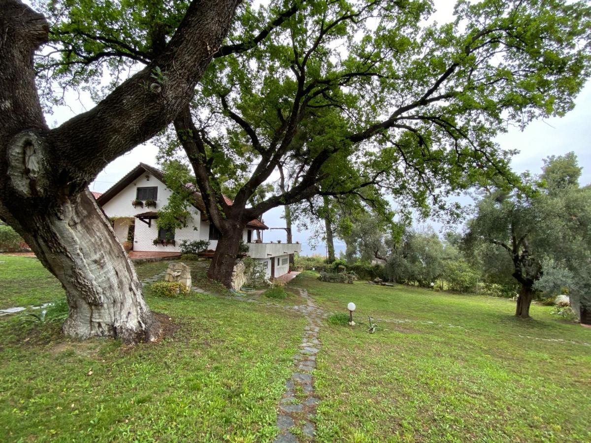 Wild Oaks Cottage Kriopigi Ngoại thất bức ảnh